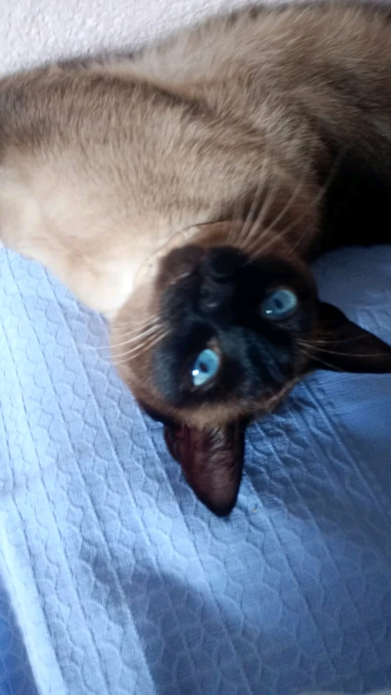 Imagem enviada por Vinícius