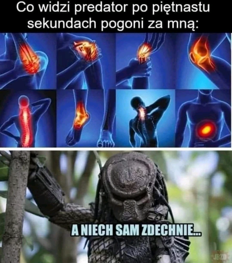 GIF dodany przez Archie