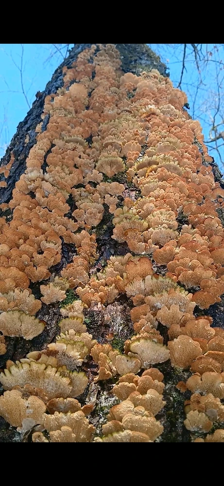 GIF uploaded by Howard Northrup