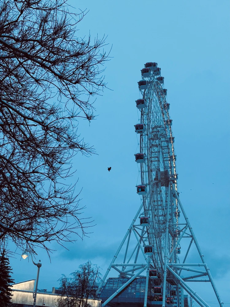 Image uploaded by Veronika