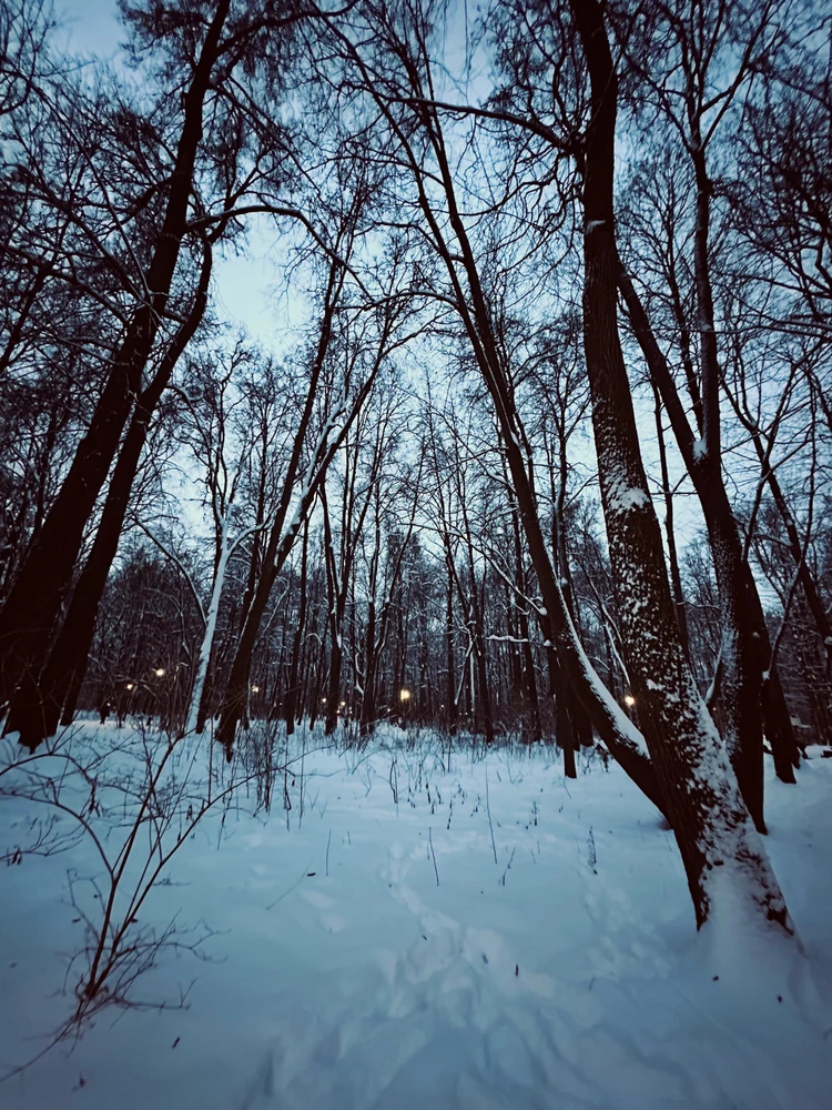 Image uploaded by Veronika