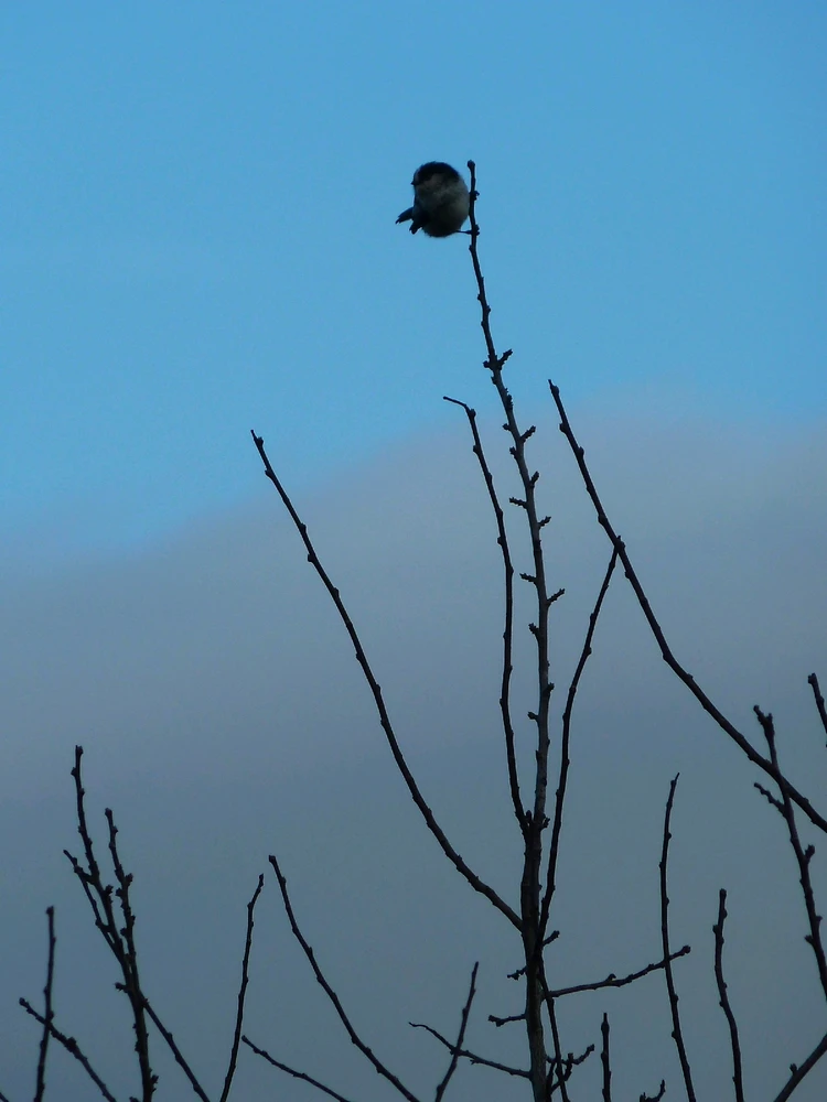 GIF ajouté par Oriane