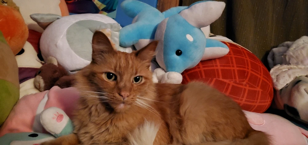 GIF uploaded by Lauren