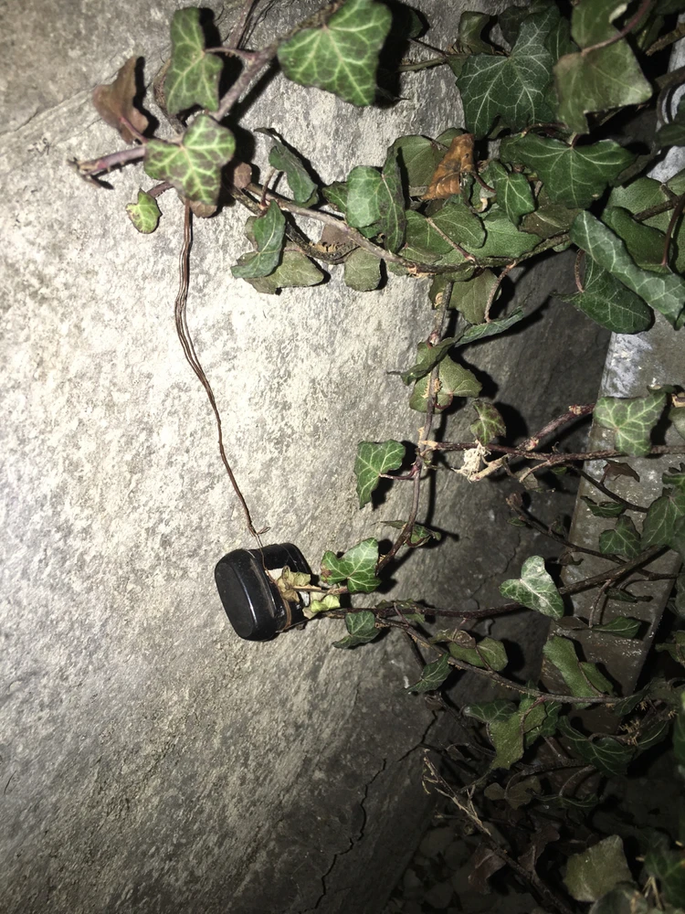 Bild hochgeladen von Helen