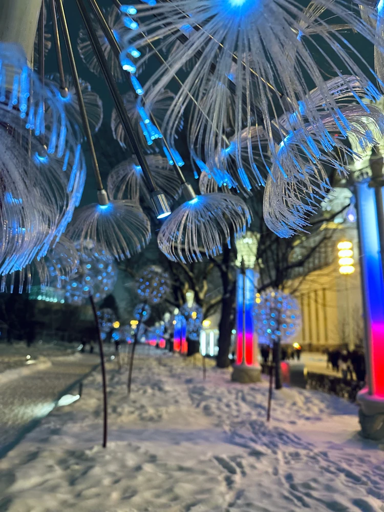 Image uploaded by Veronika