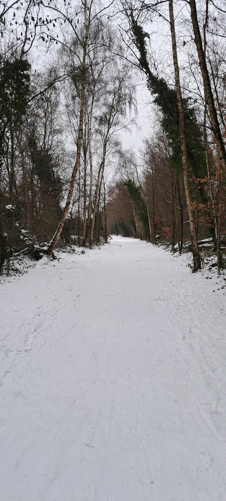 Image ajoutée par Neko🐾