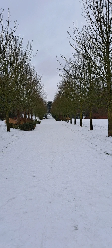 Image ajoutée par Neko🐾