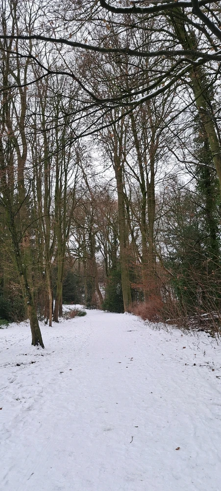 Image ajoutée par Neko🐾