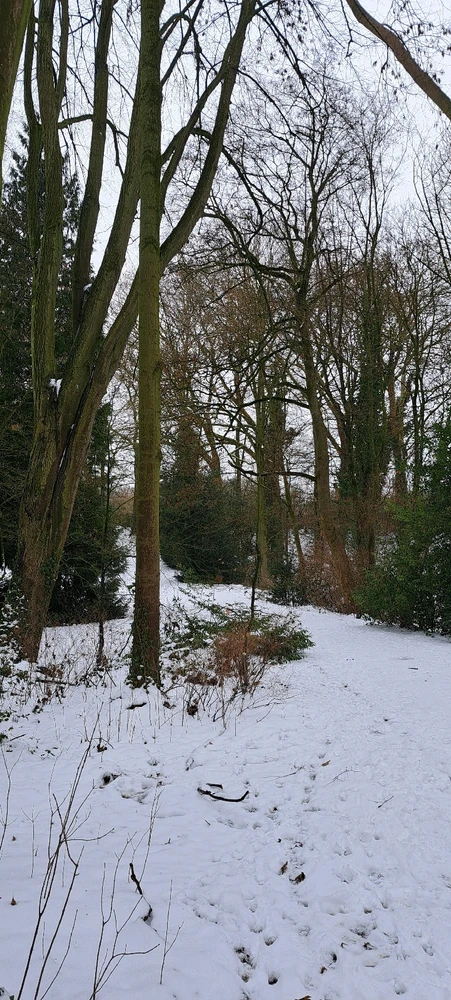 Image ajoutée par Neko🐾