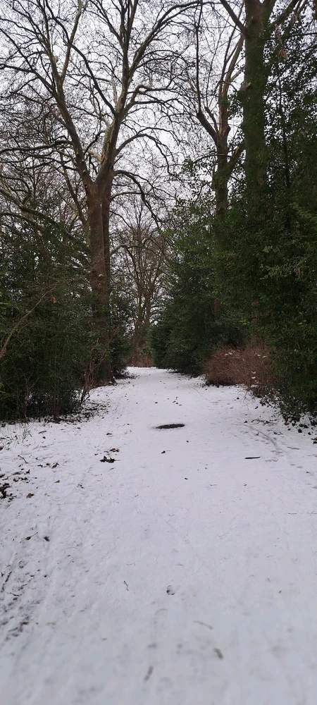 Image ajoutée par Neko🐾