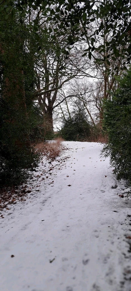 Image ajoutée par Neko🐾