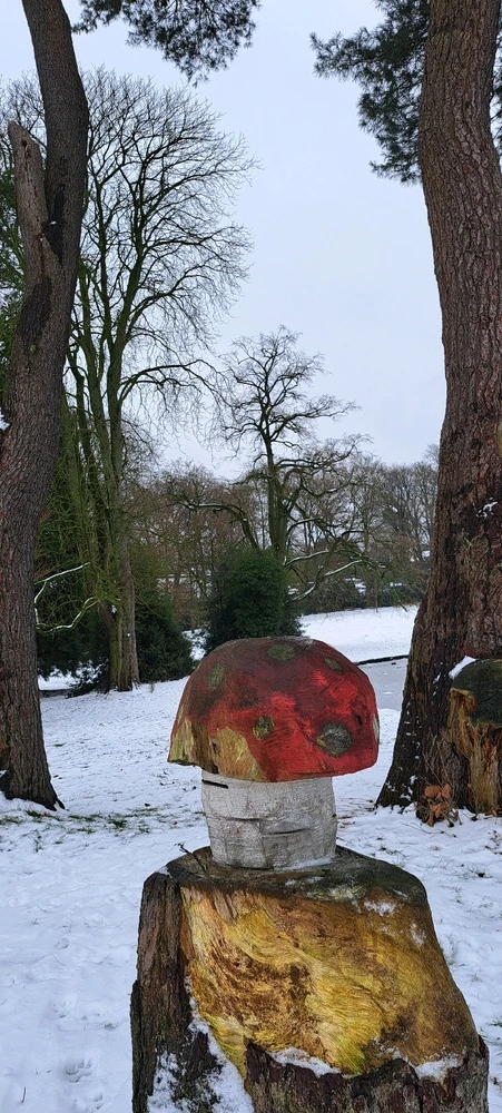 Image ajoutée par Neko🐾