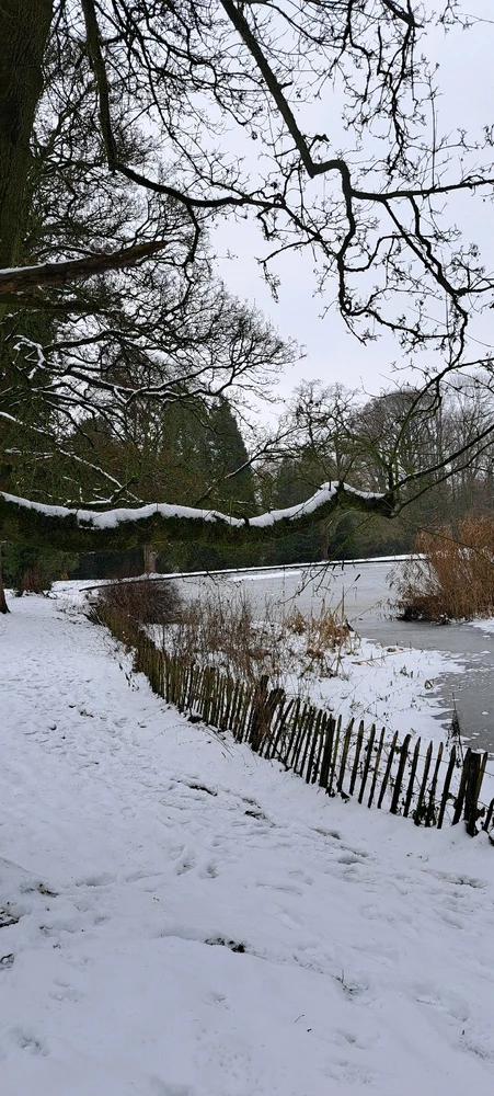 Image ajoutée par Neko🐾