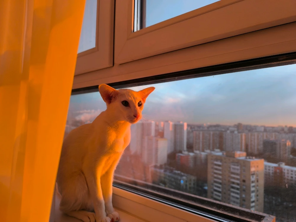 Image uploaded by Enn