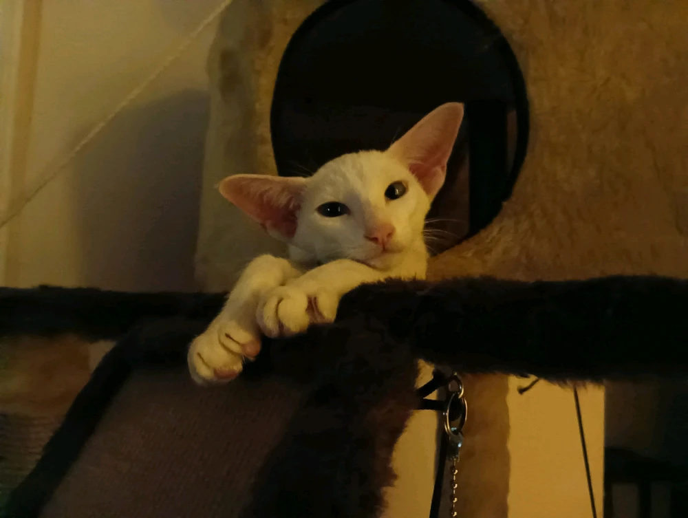 Image uploaded by Enn