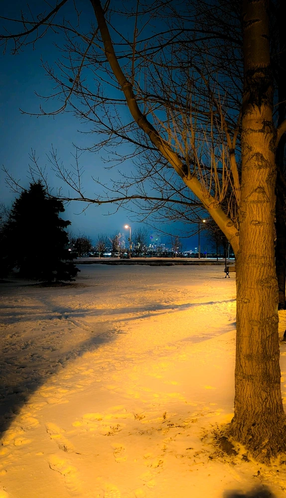 Image uploaded by Dana