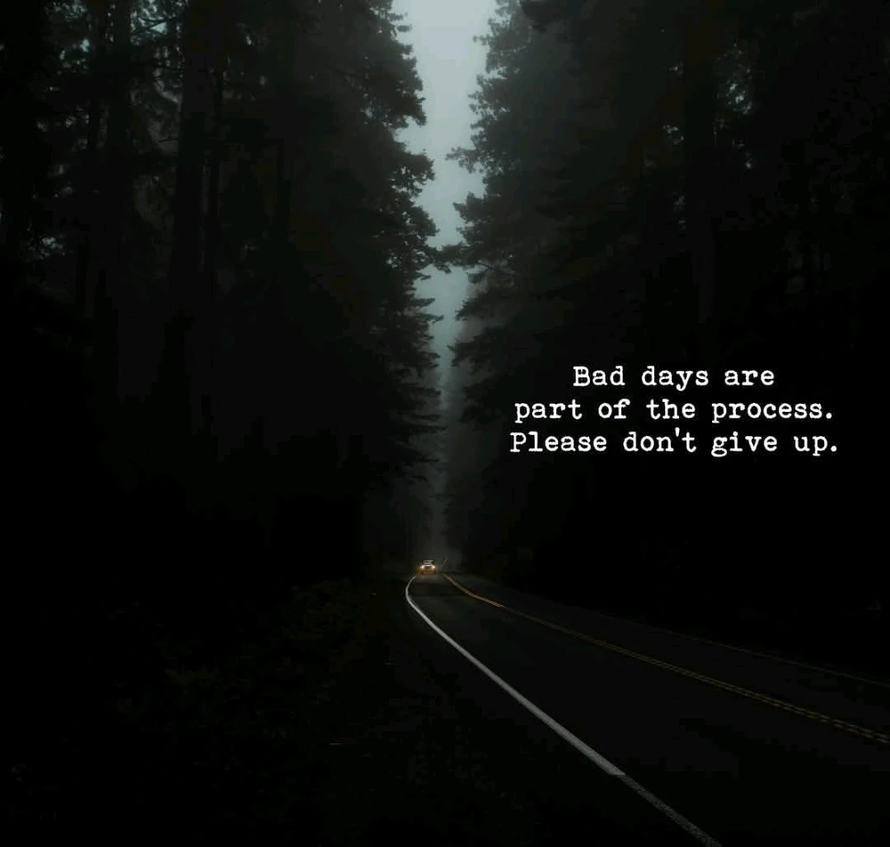 GIF uploaded by Melanie