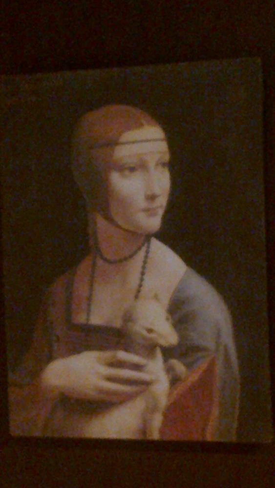 Imagem enviada por Ariane Ribeiro