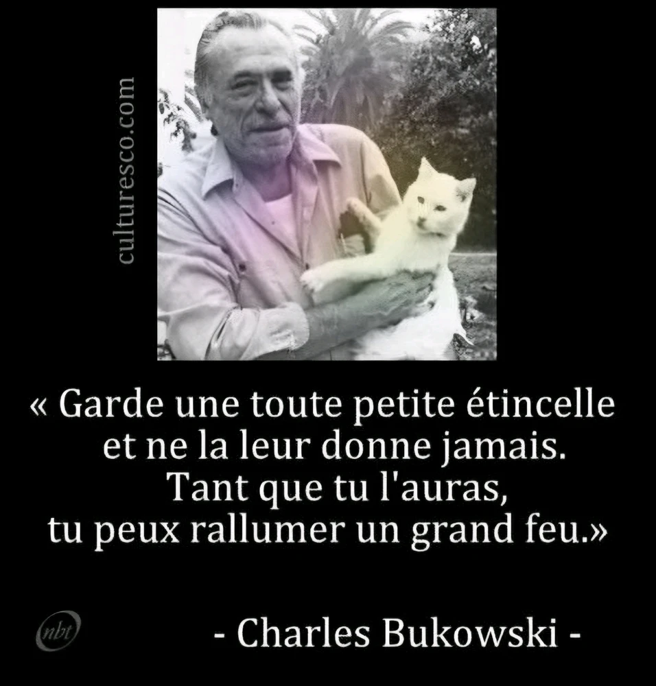 GIF ajouté par Kristine