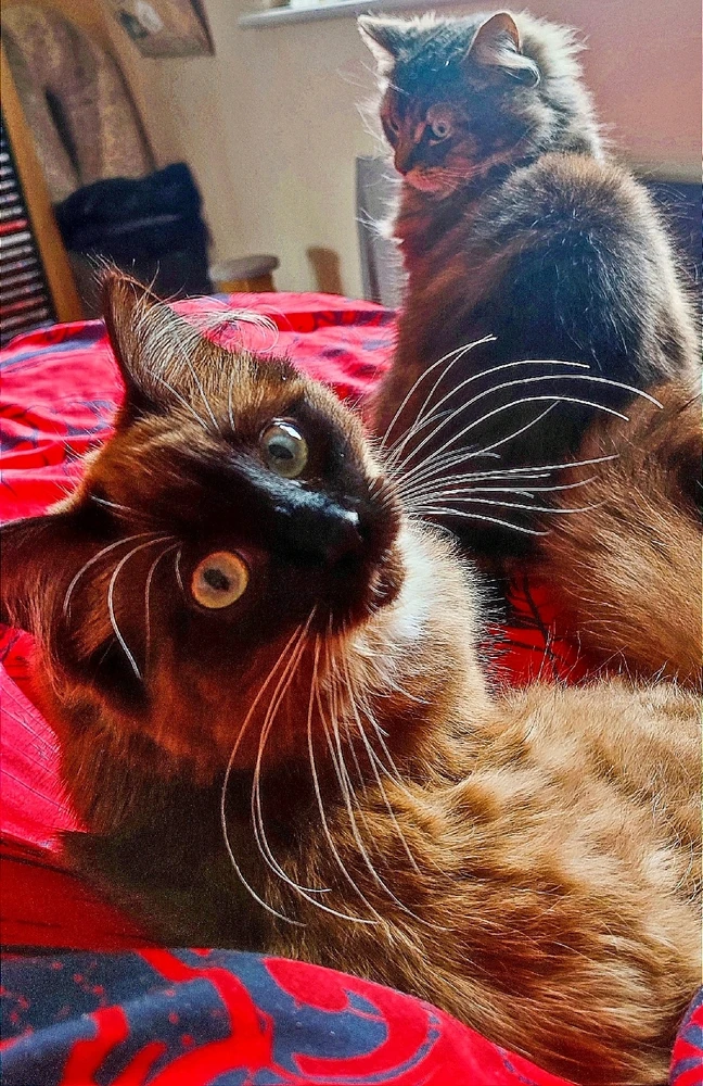 GIF uploaded by Andy