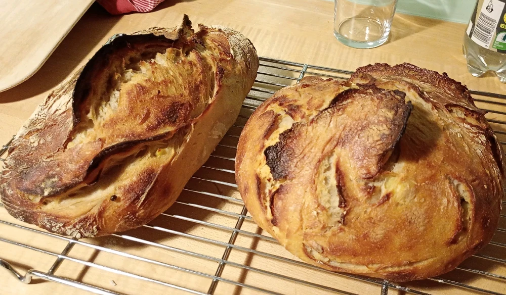 GIF hochgeladen von Nicki