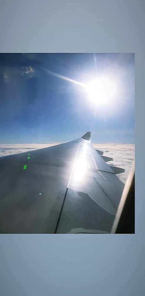 Image uploaded by Mark