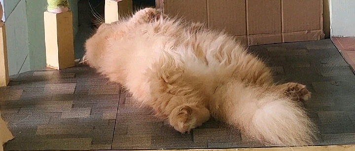 GIF uploaded by Margaret