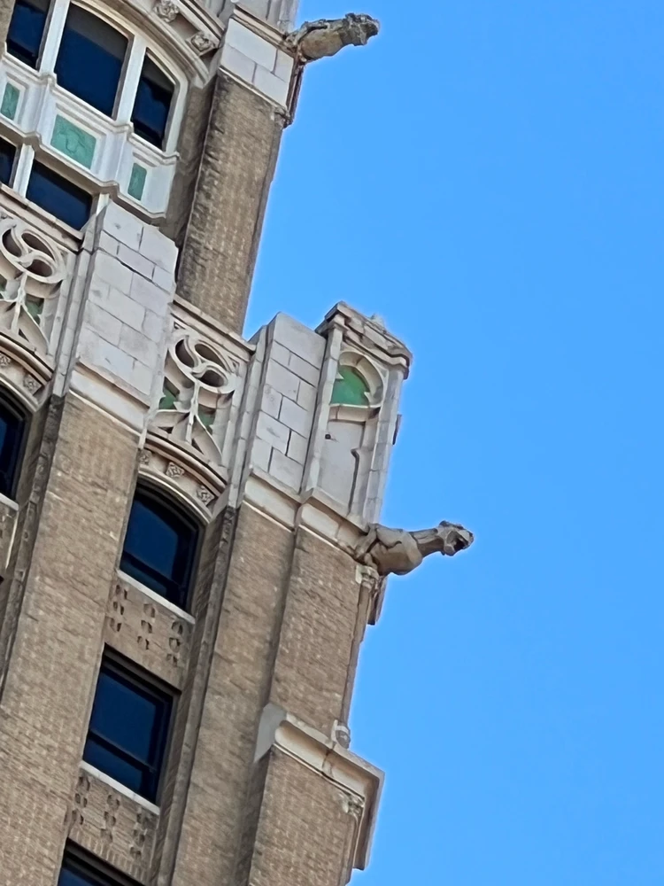 Image uploaded by Mor