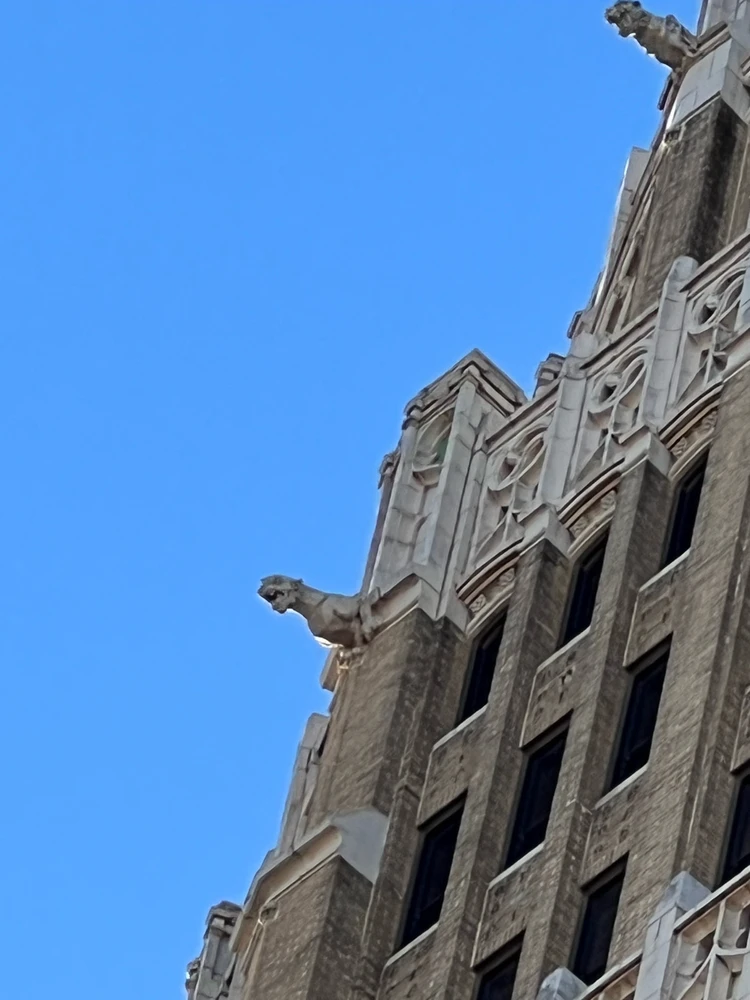 Image uploaded by Mor