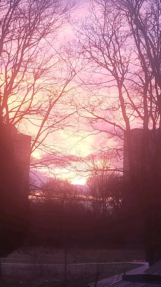 GIF uploaded by Dylan Boor