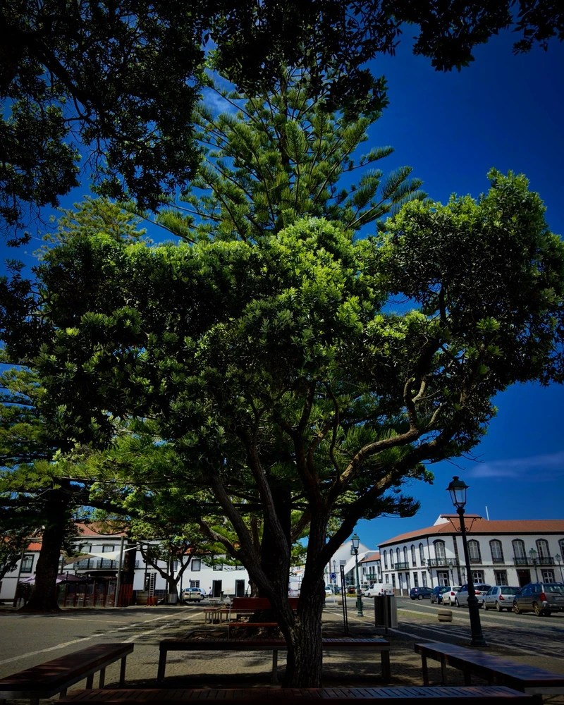 GIF enviado por Dnimreven