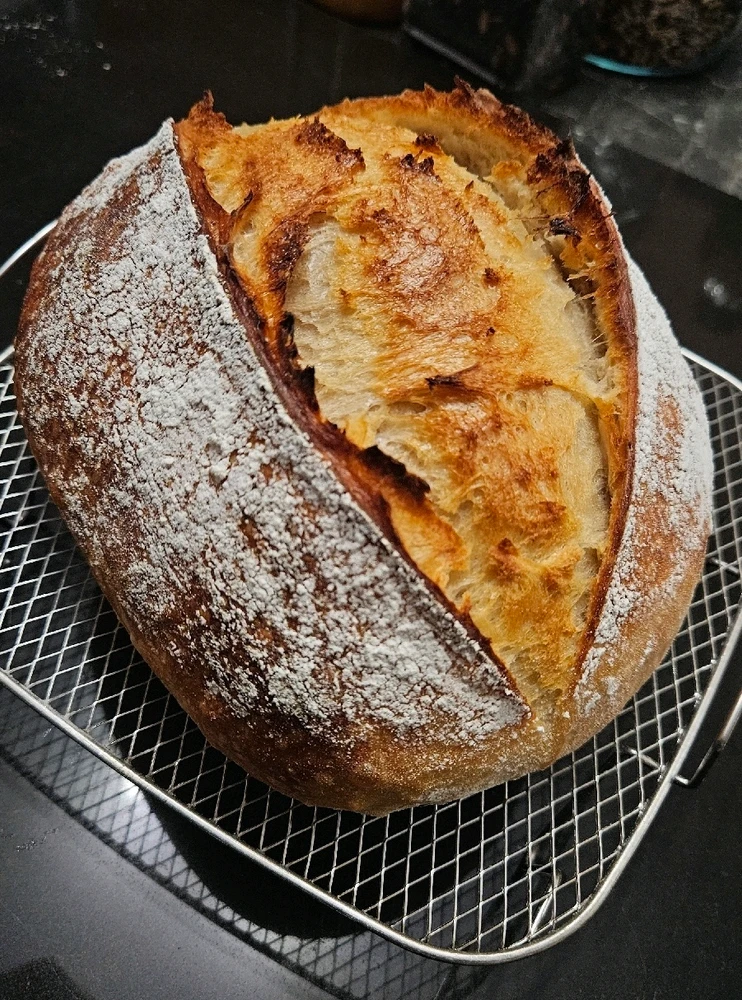 GIF uploaded by Sammy