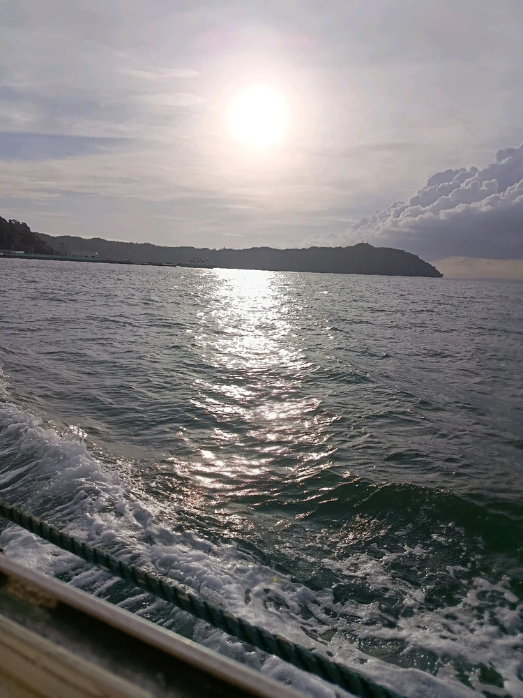 GIF uploaded by Sheen