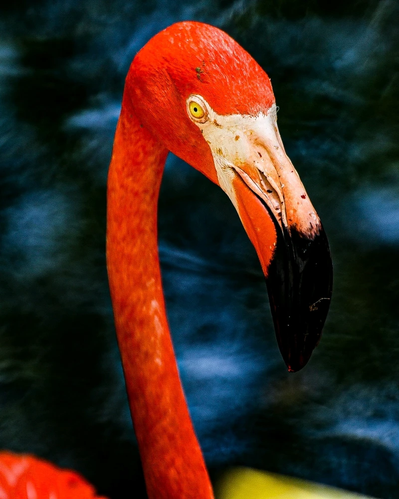 GIF uploaded by Joshua Horvath