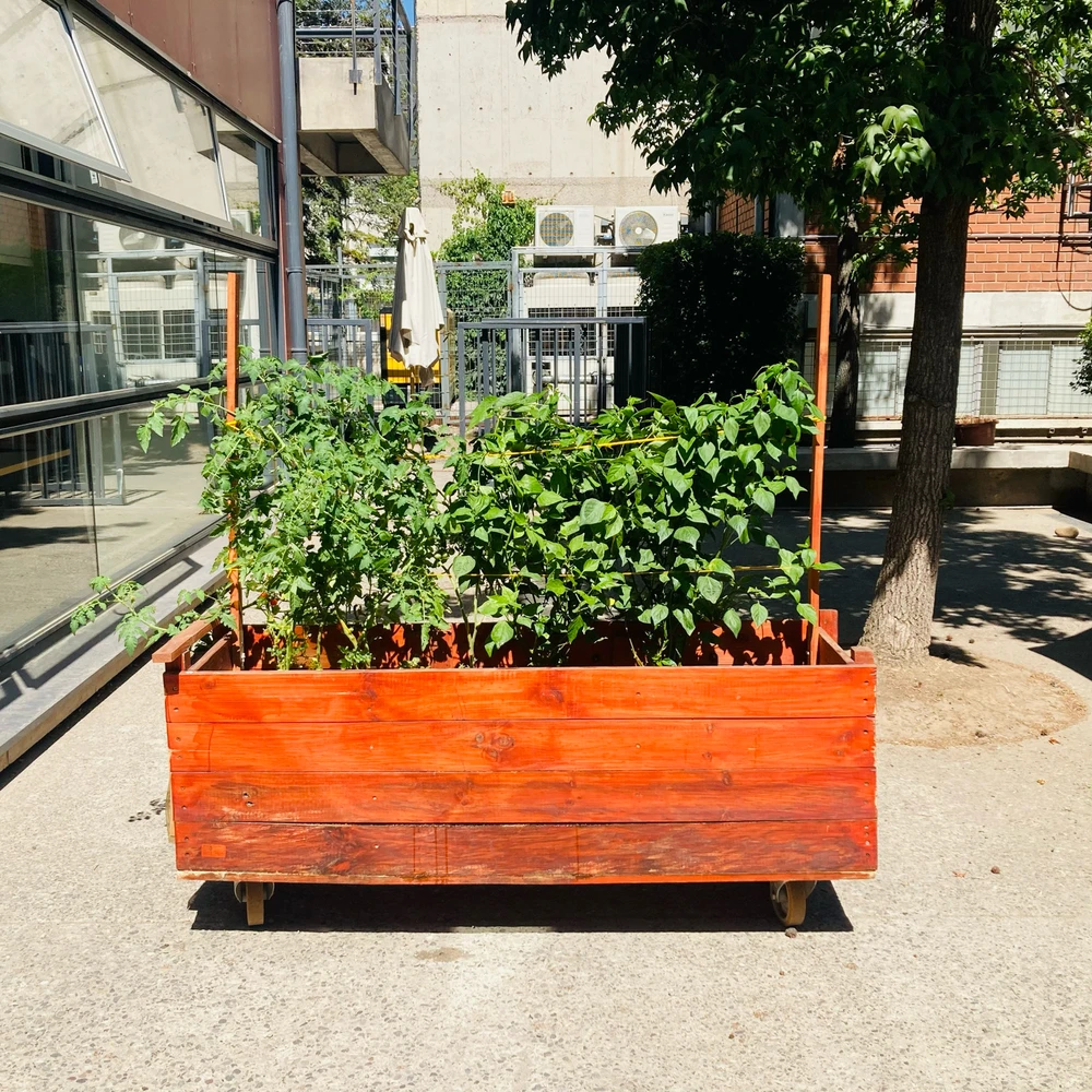 GIF subido por Juan Pablo