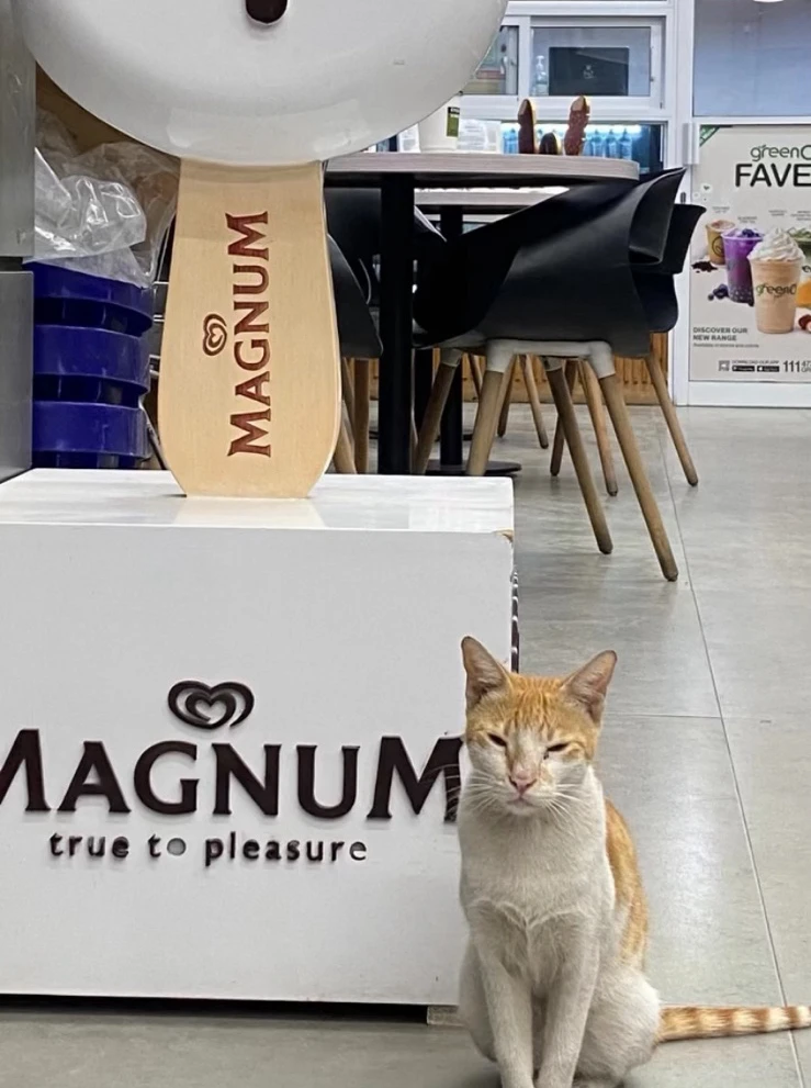 GIF diunggah dening Shayan