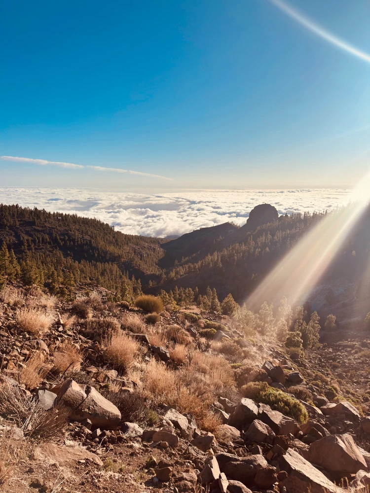 Image uploaded by Richie