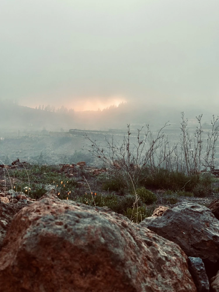 Image uploaded by Richie