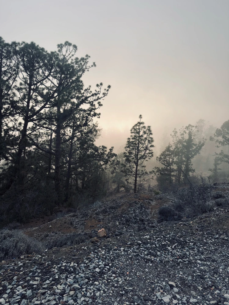 Image uploaded by Richie