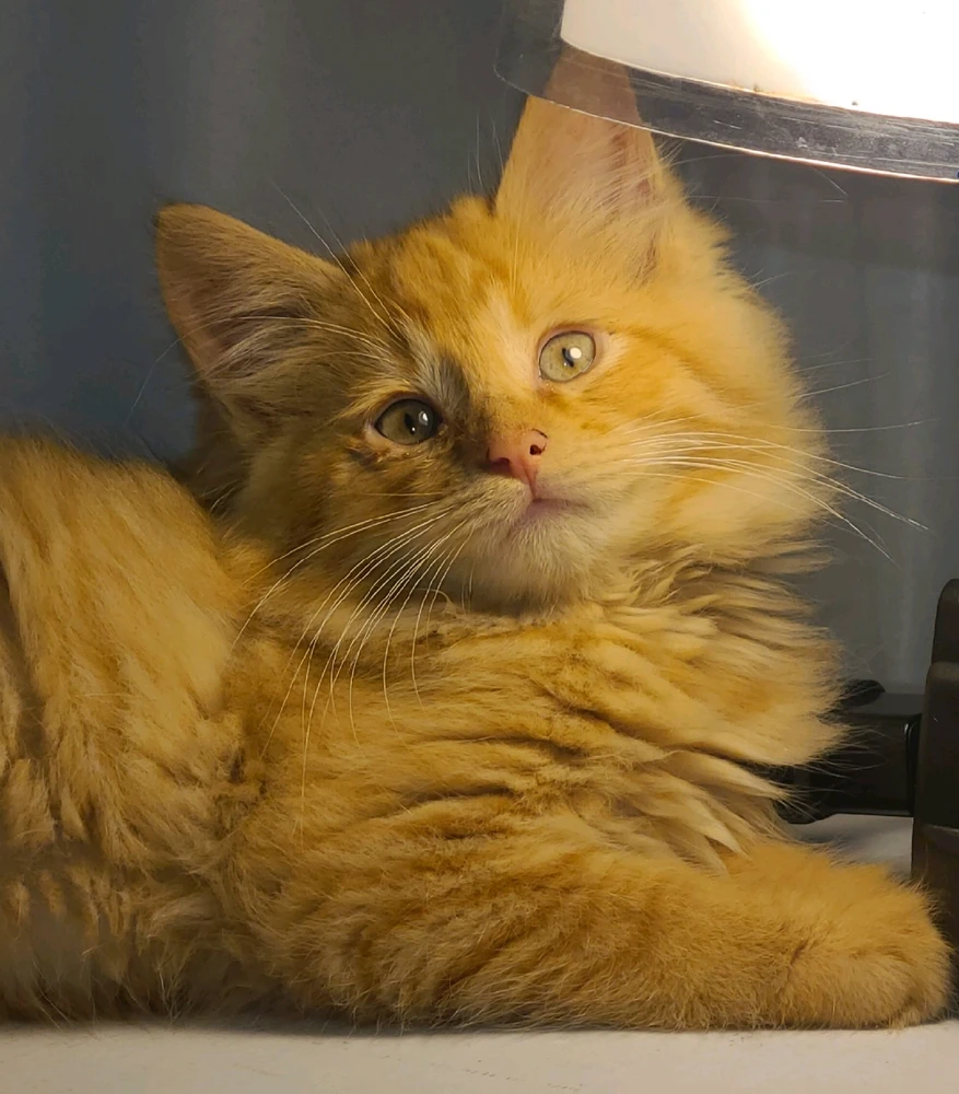 GIF uploaded by Jane