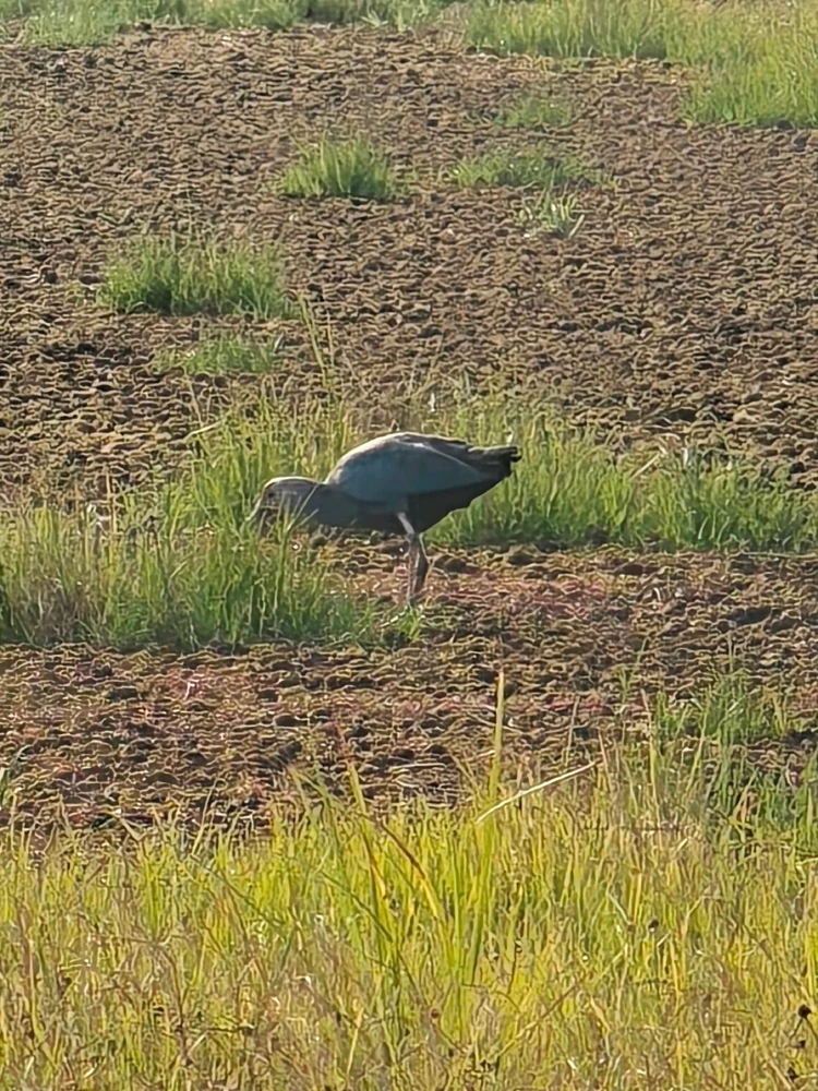 GIF uploaded by Soham