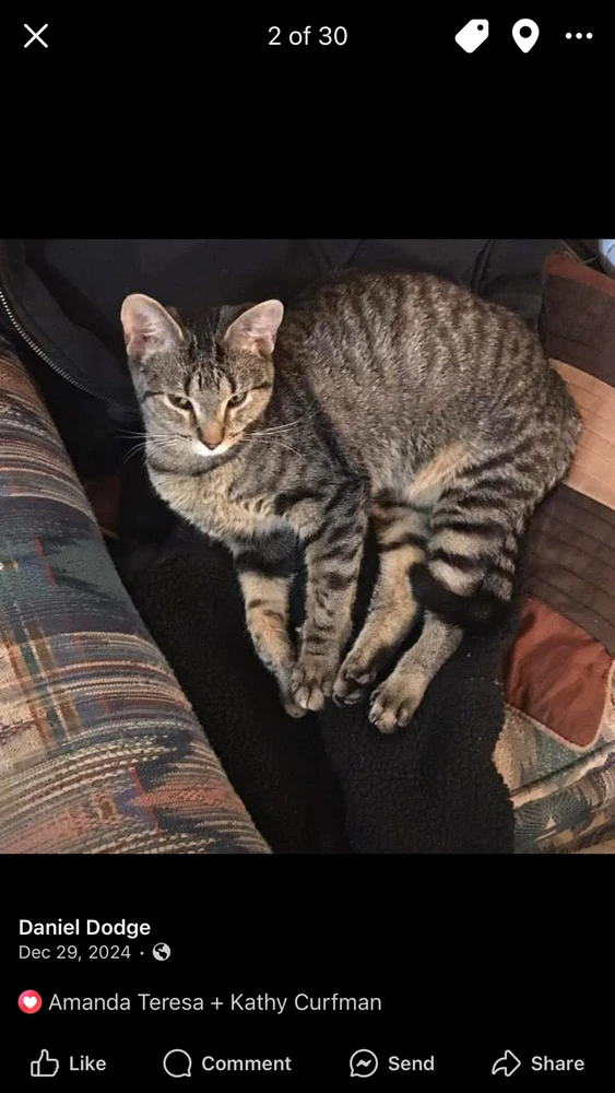 GIF uploaded by Daniel