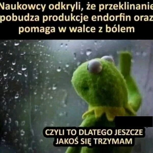 GIF dodany przez Paweł