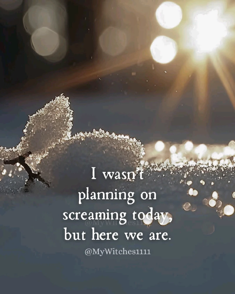 GIF uploaded by Kushy