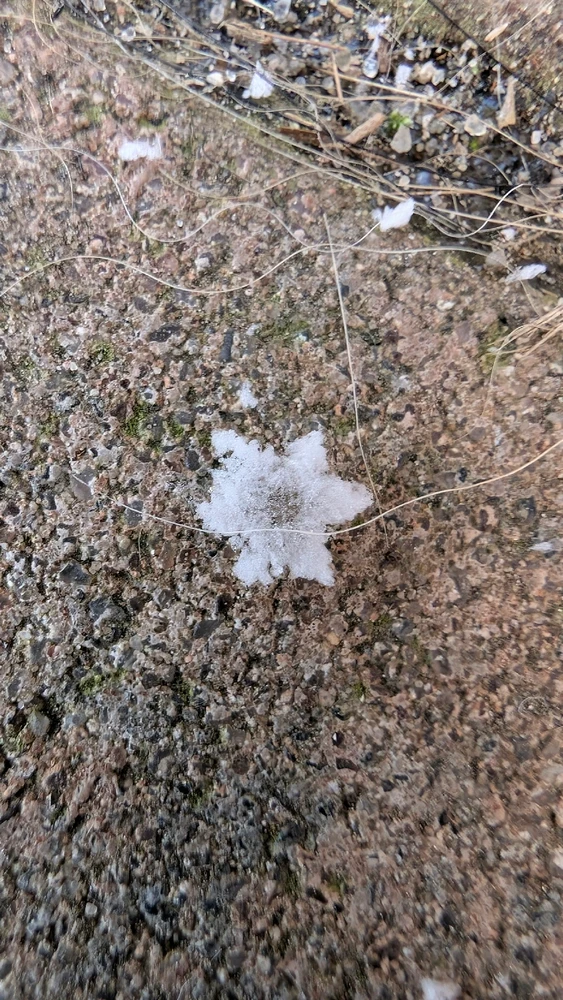 Obrázek nahrál Matěj