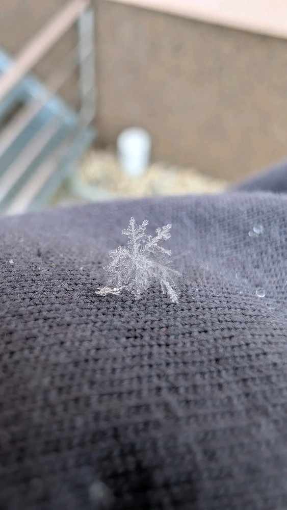 Obrázek nahrál Matěj