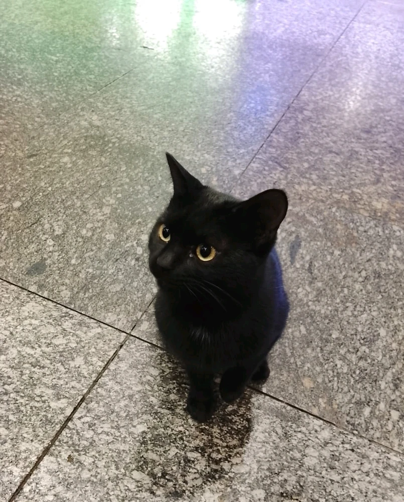 GIF uploaded by Gabriel