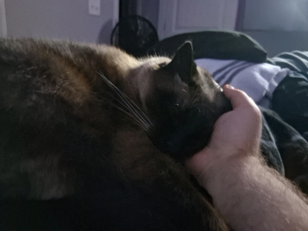 GIF uploaded by Matthew