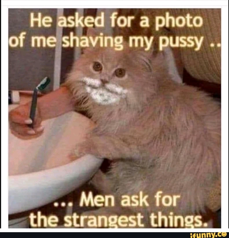 GIF dodany przez Wilk