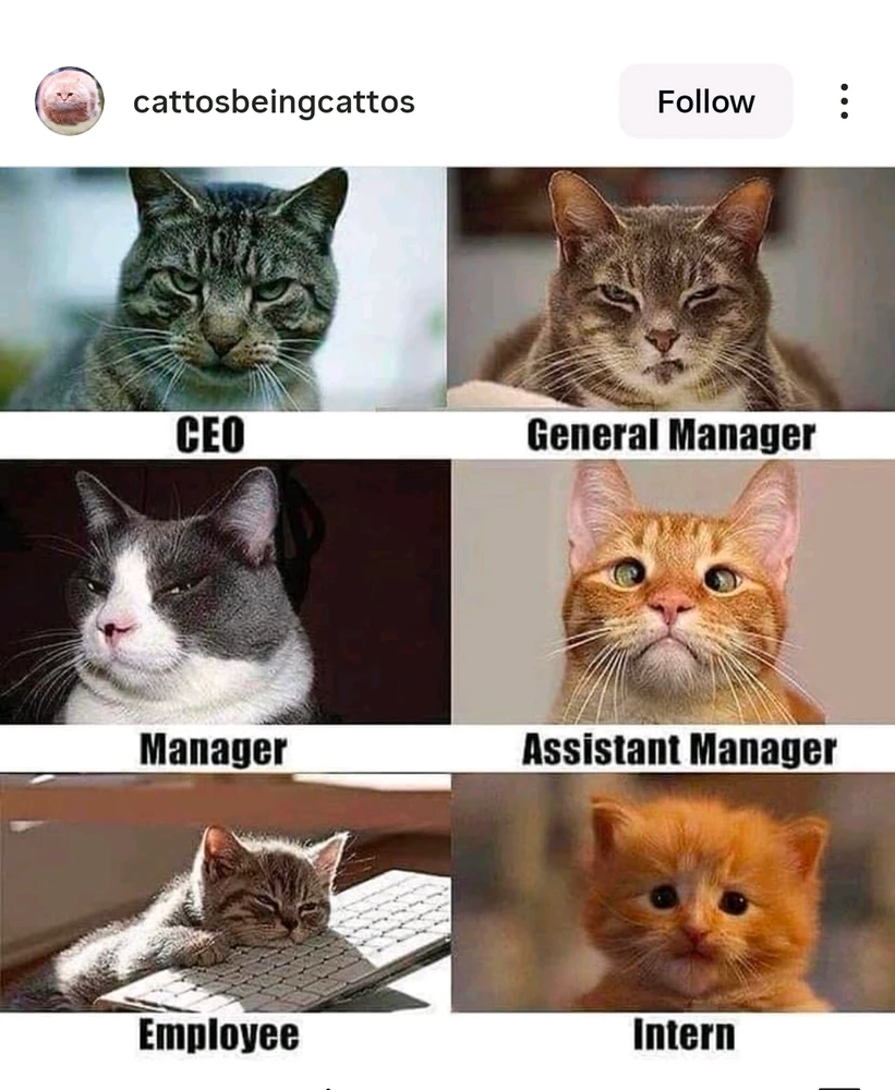 GIF uploaded by Svetlana